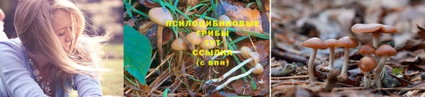 марки nbome Елизово