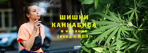 бошки Елабуга